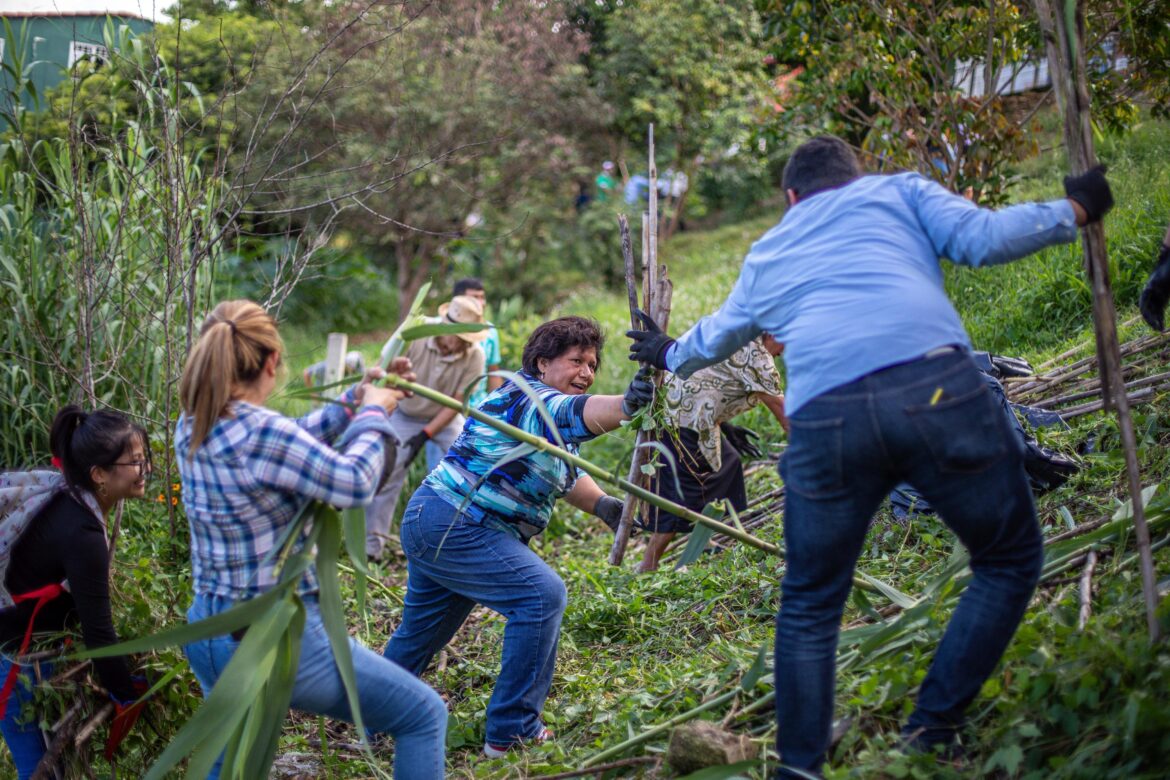 WhatsApp Image 2024-08-02 at 12.59.02 PM (1)