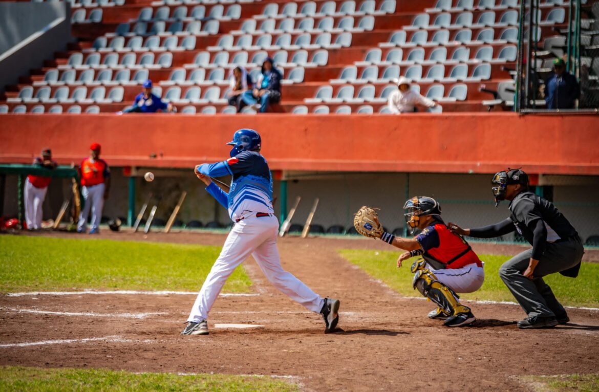 WhatsApp Image 2024-11-23 at 8.54.41 AM (3)