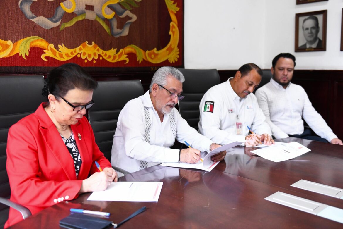 WhatsApp Image 2025-09-03 at 1.13.39 PM