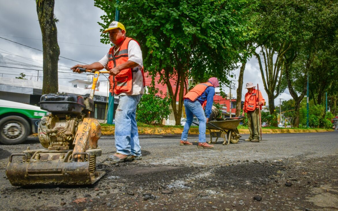 WhatsApp Image 2025-10-28 at 2.45.22 PM (1)